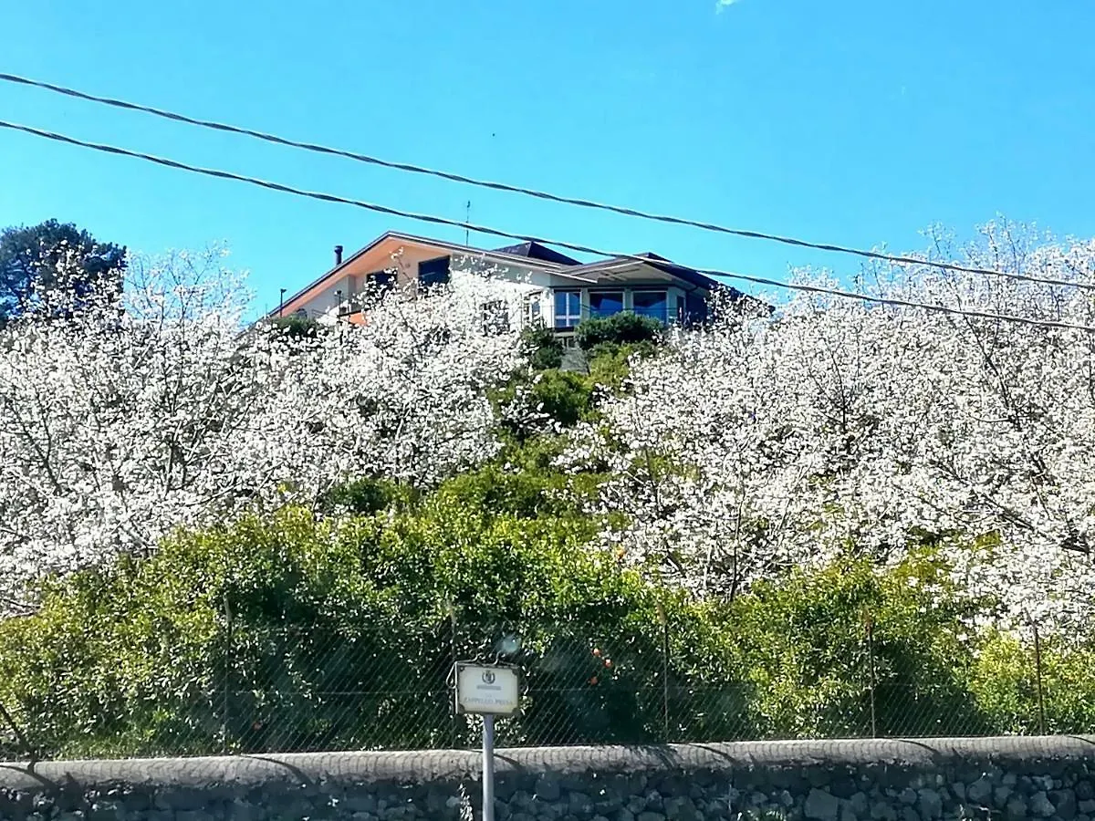 Villa Capogrecale - Piscina Riscaldata Piedimonte Etneo